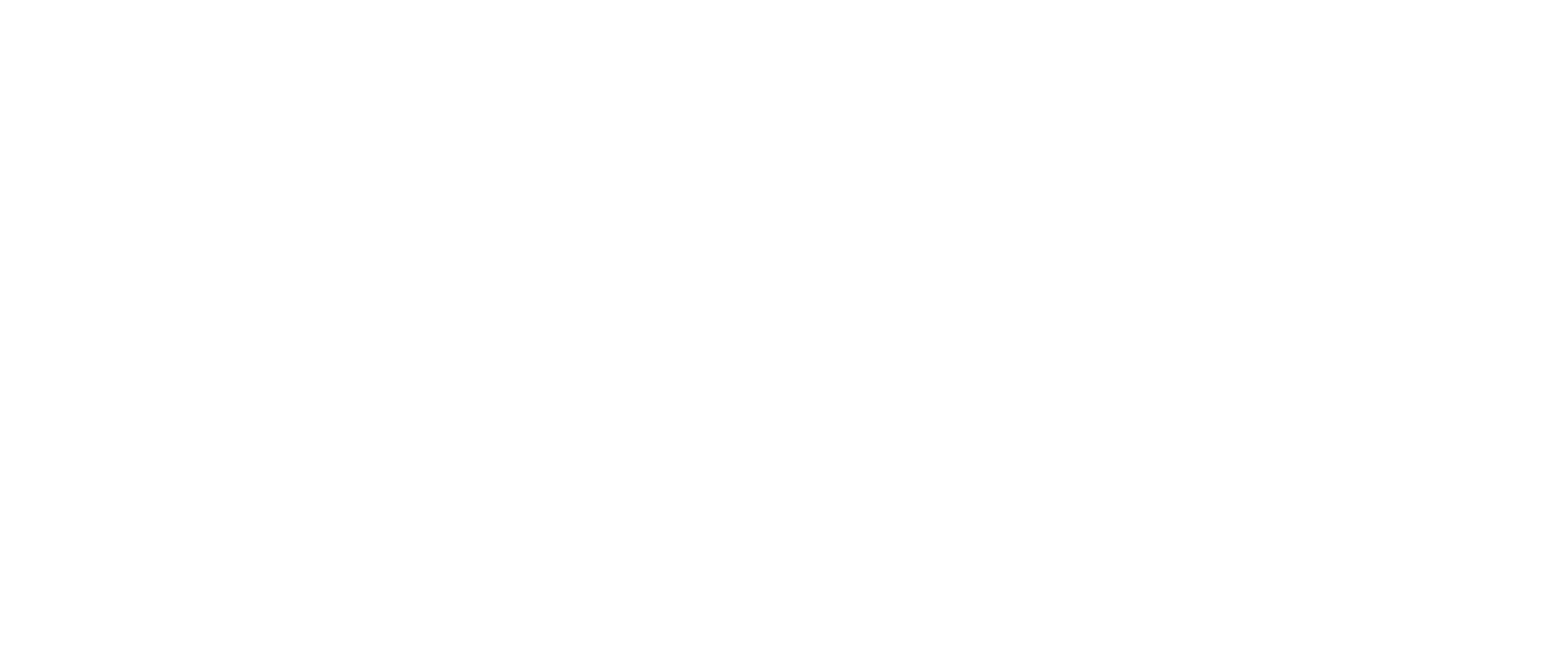 Nexus Nova Logo